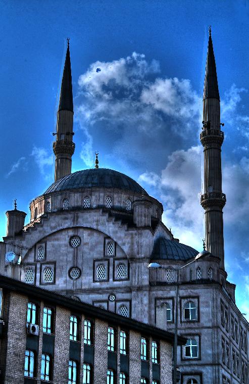 Kuyuba Cami