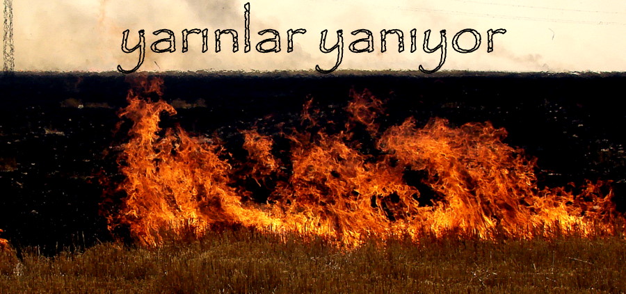 Yakmayn...!!!