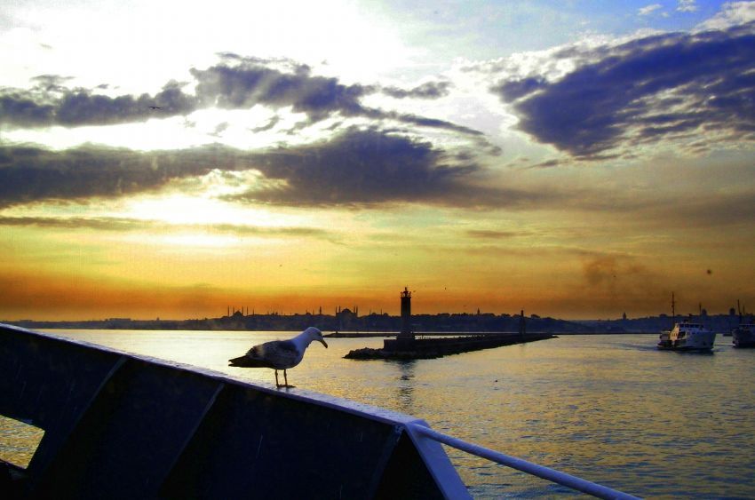 stanbul Seni zliyorum...