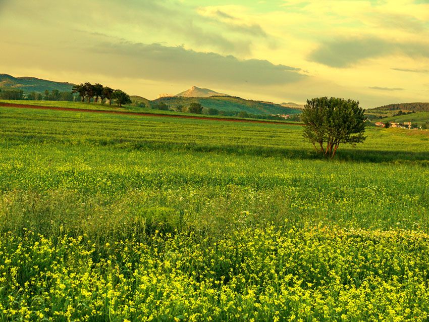 KIR ���EKLER�..