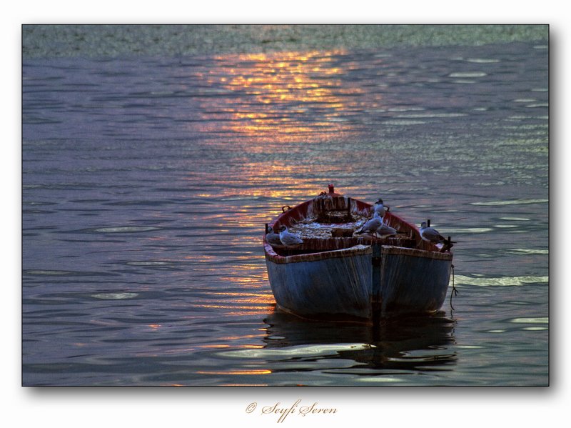 Pusulas�z A�klar...