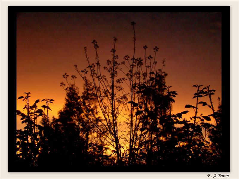 YAMUR SUYUNDAN YANSIYAN