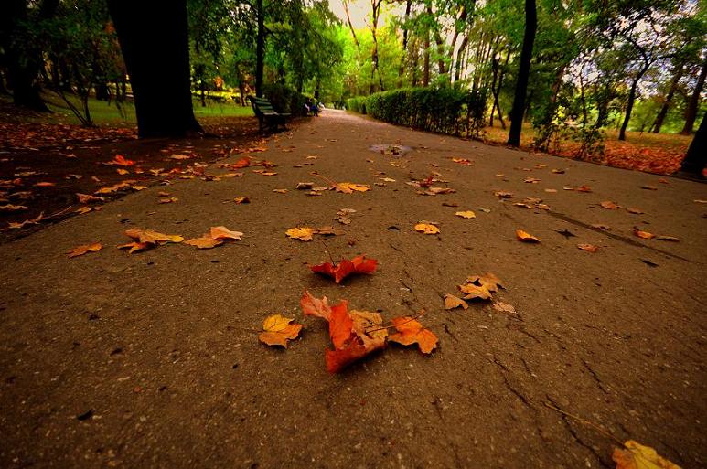 Bunun ad� sonbahar