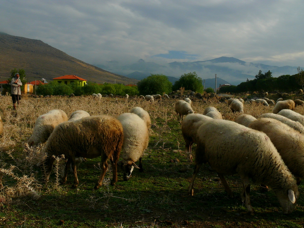 Dumanl Da'n Eteinde Bir Usta