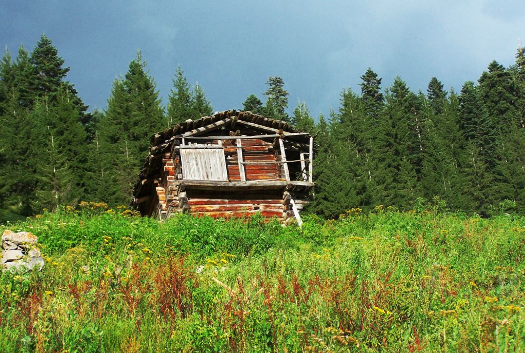 YAYLA EV