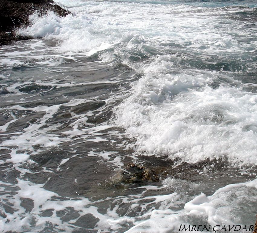 h�r��n k�p�rt�