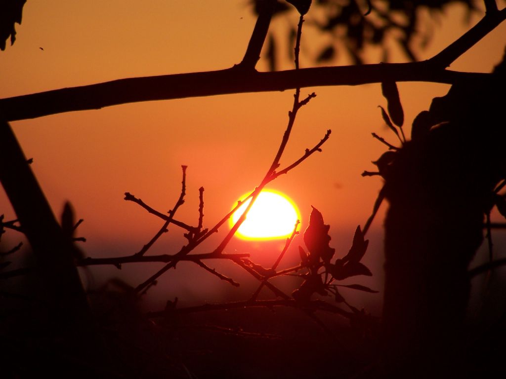 ufukta bir ���lt�