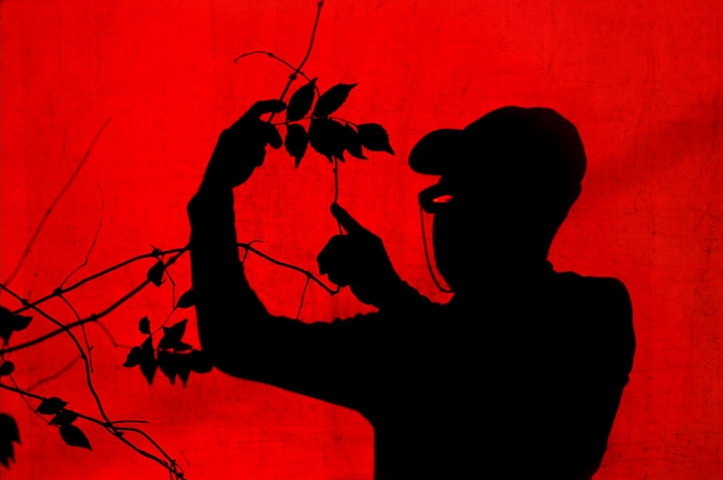 glgeler suretidir sessizliin