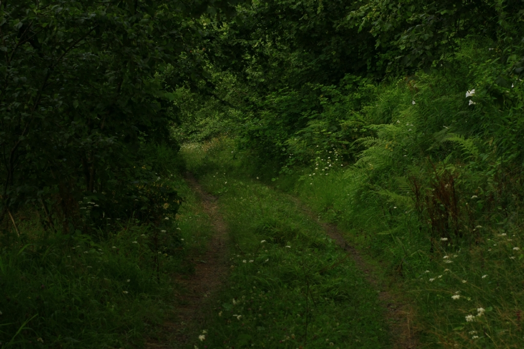 eski ta�l� �ak�ll� yollar