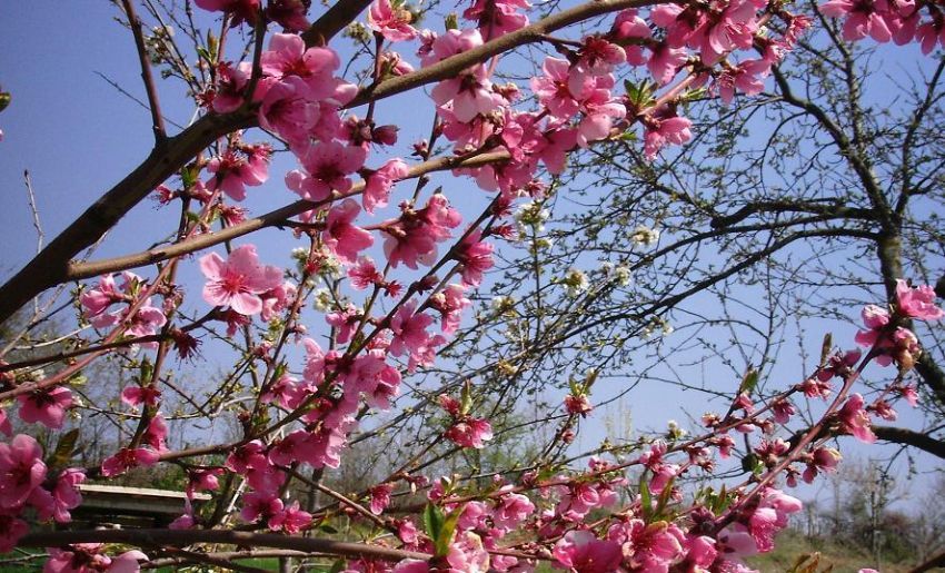 bahar�n ho� habercileri...