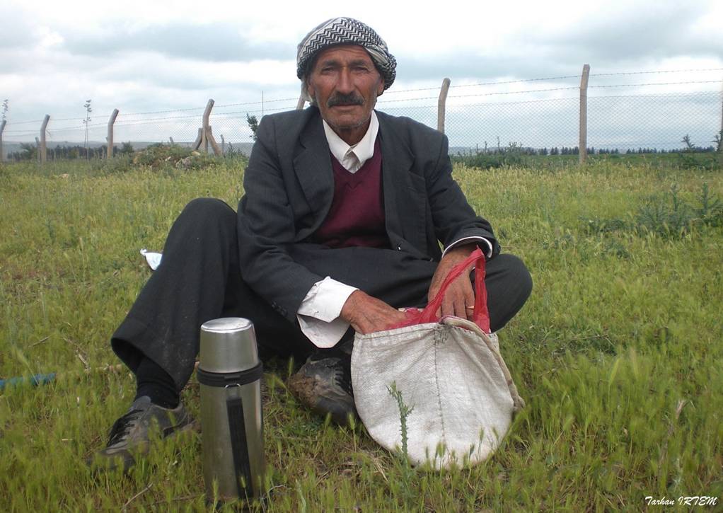 Yal Bir oban / An old shepherd