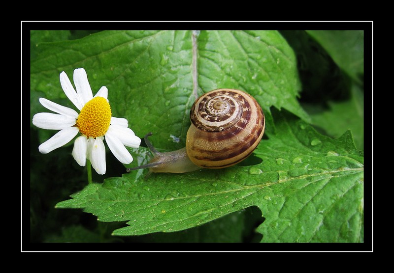 Btn yollar sana doru...