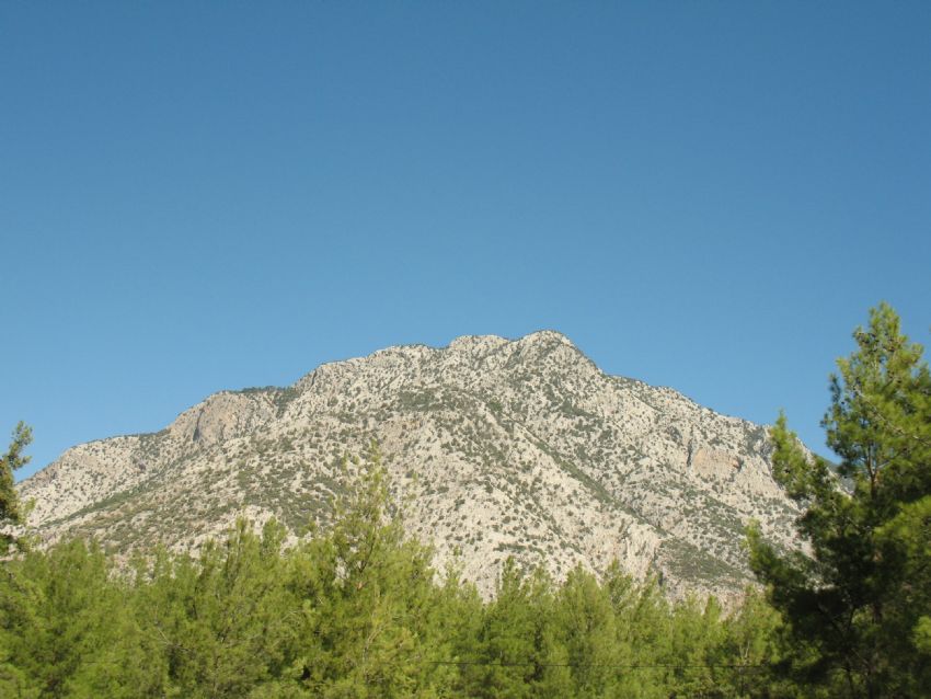 'Yeilliklerin Ardndan...'