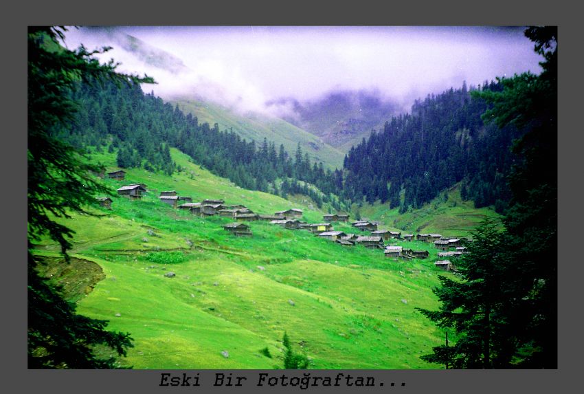 yaylalar..