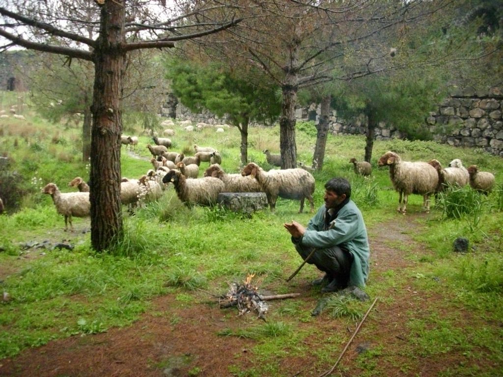 Aslnda yanlz degiliz.....