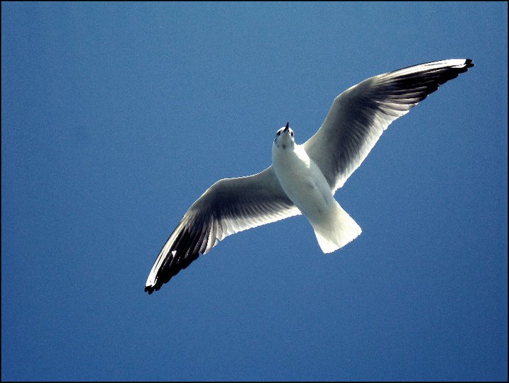 ben mesela uarm mesela..