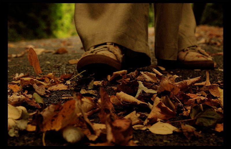 ezdiim yapraklarn rengindeyim..