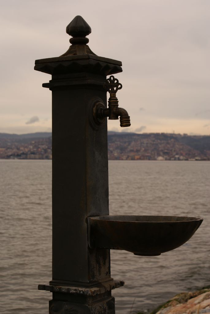 fakl� b�r bak�s 