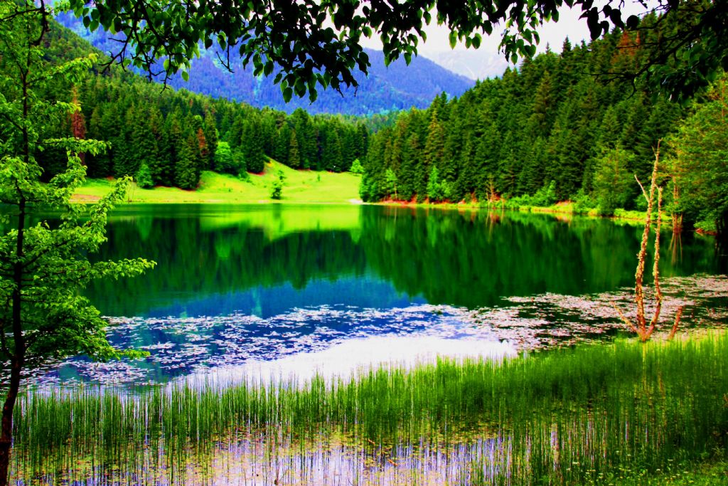 YE��L�N BA�KENT�