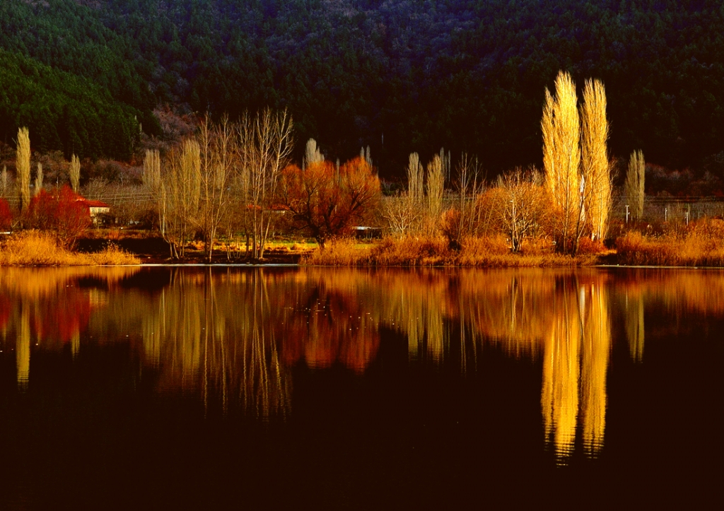 G�lc�k/�demi�