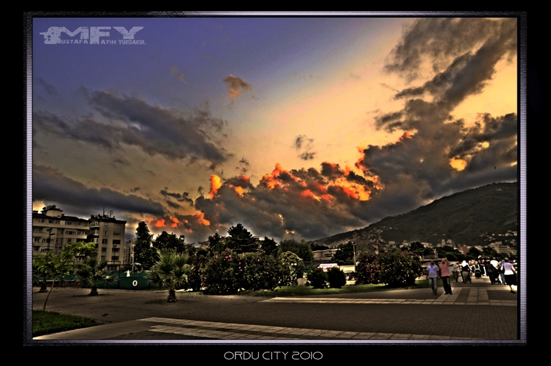 ordu sahili