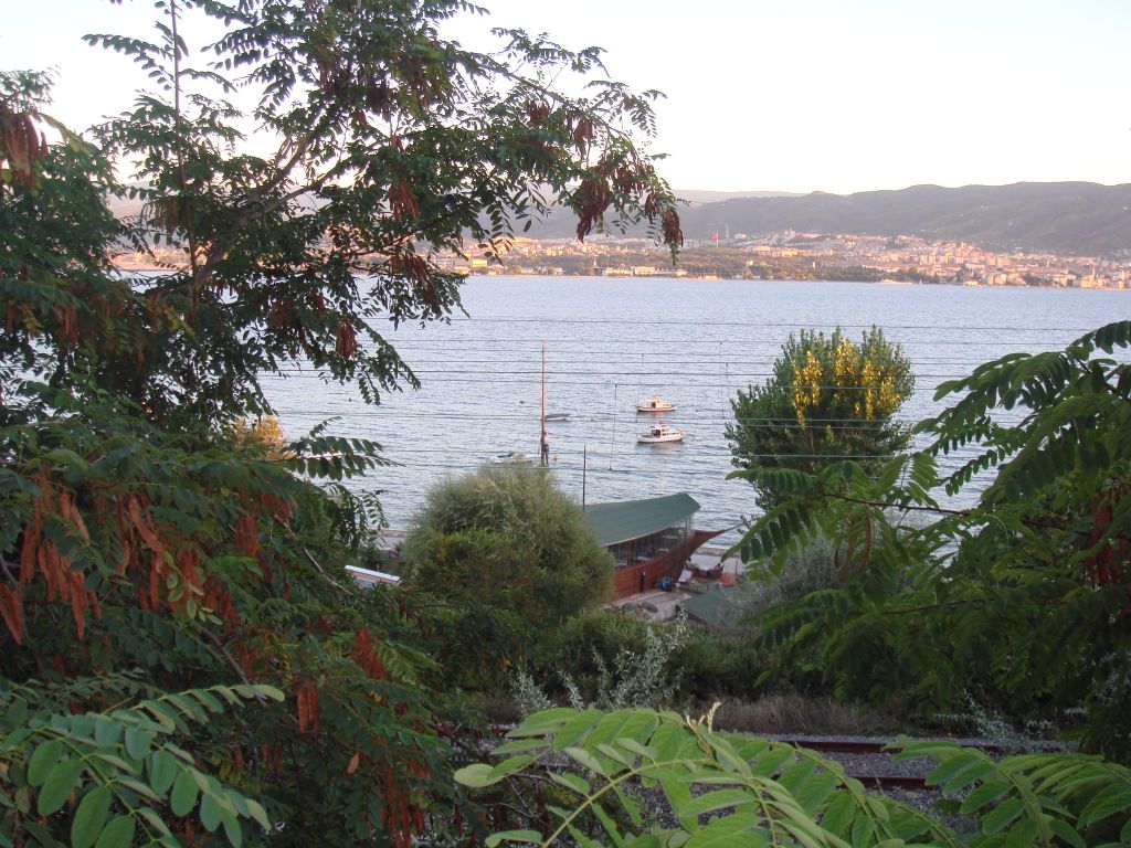 yeillikler arasndan...