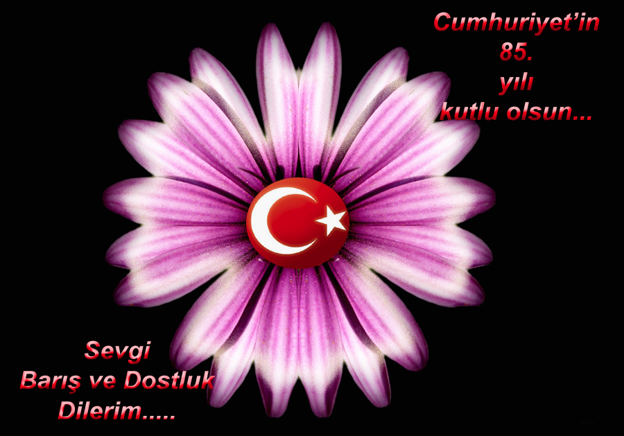 29 Ekim