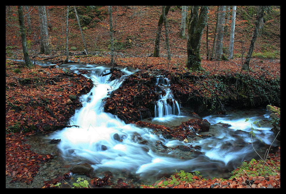 Yedigller'e giderken...
