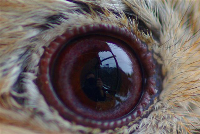 Ku'un gz...(Alakarga)