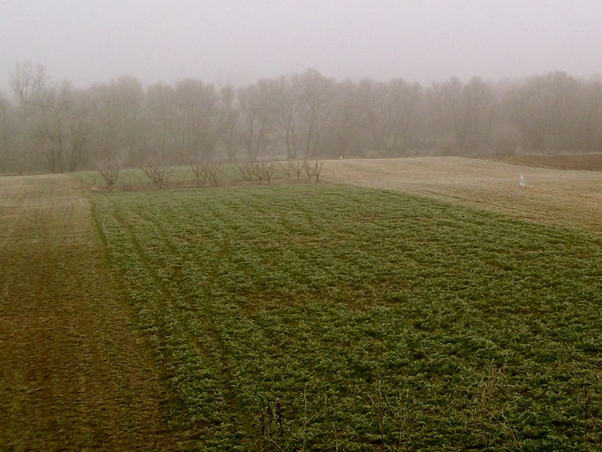 bir k�� sabah�