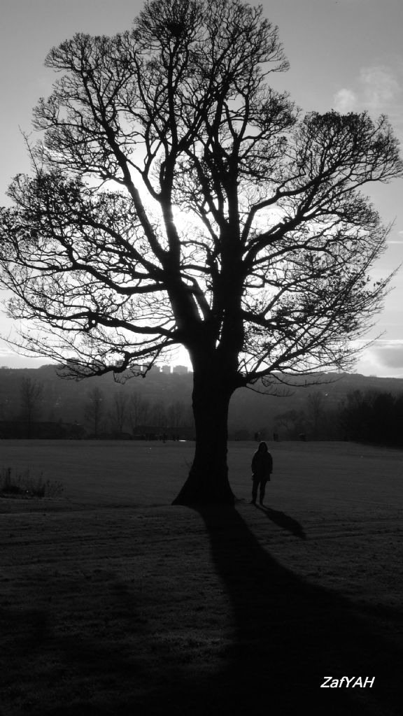 Yalnizligi paylasmak