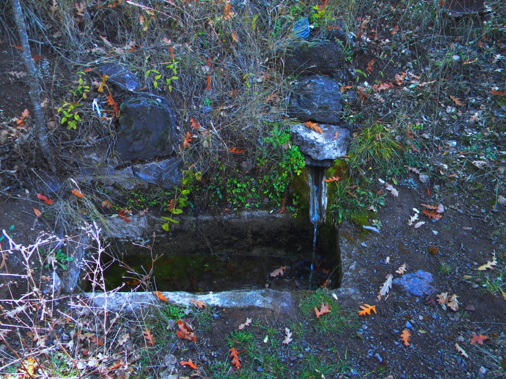 dagbasinda bir pinar