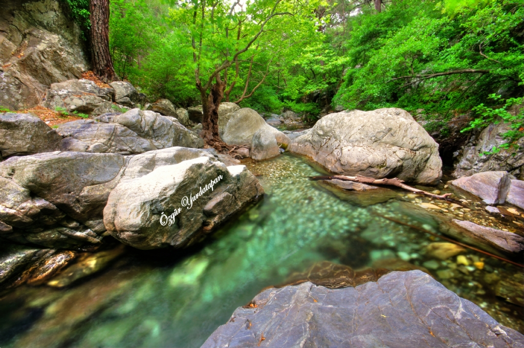 Hasanbouldu (Stven) 2016 (5)