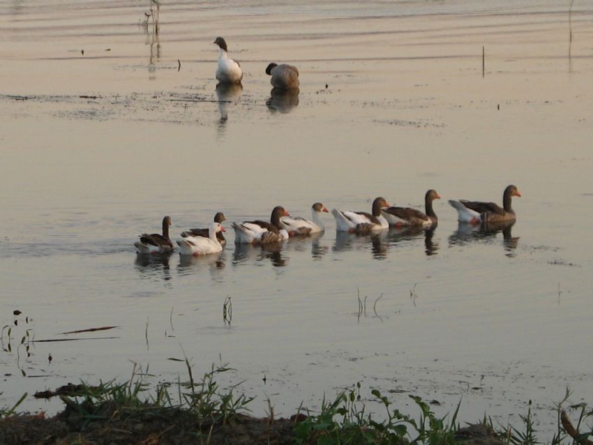 Hooop hoop beni bekleyin