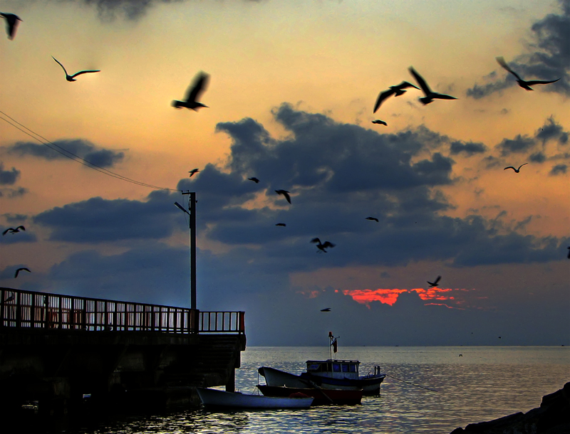 Bir Per�embe Sabah�...