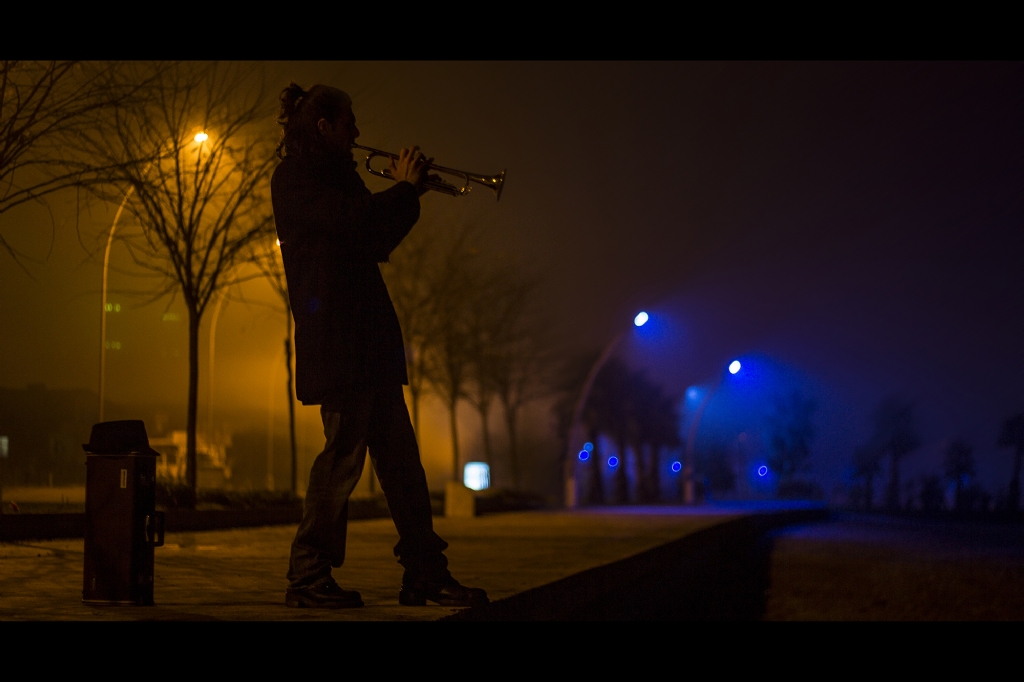 Night Trumpeter