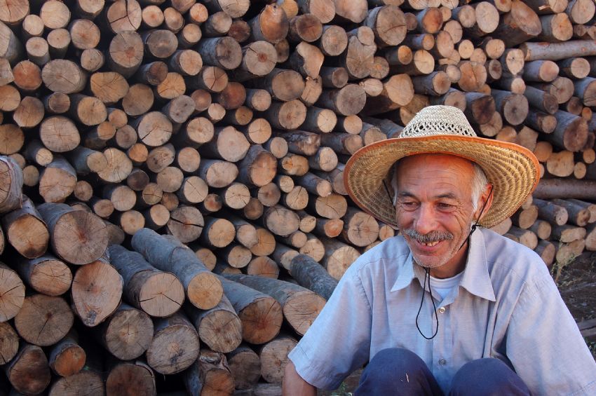 kebap��n�n odunlar�