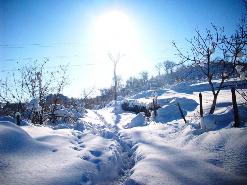 Kymn Kaybolan Yolu