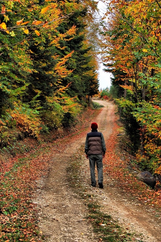 Sonbahar'da Yollarda