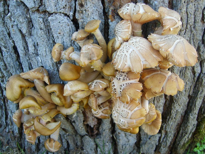 Herkezin Bir Eve �htiyac� Var.......