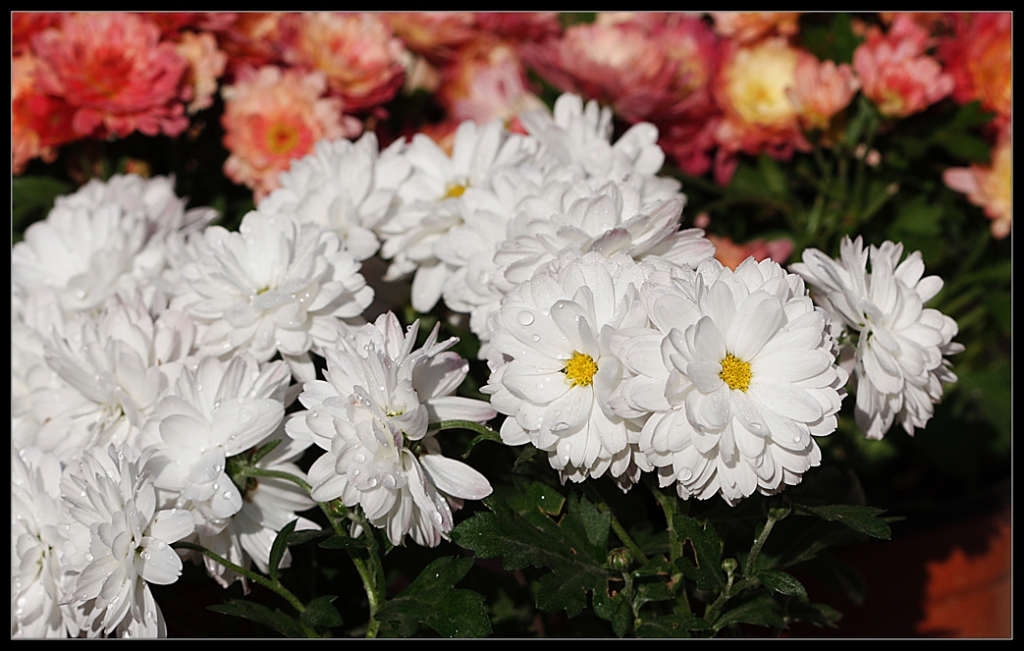 ��retmenlere...!