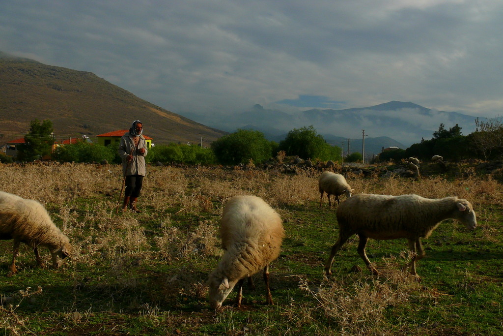 Dumanl Da'n Eteinde Bir Usta