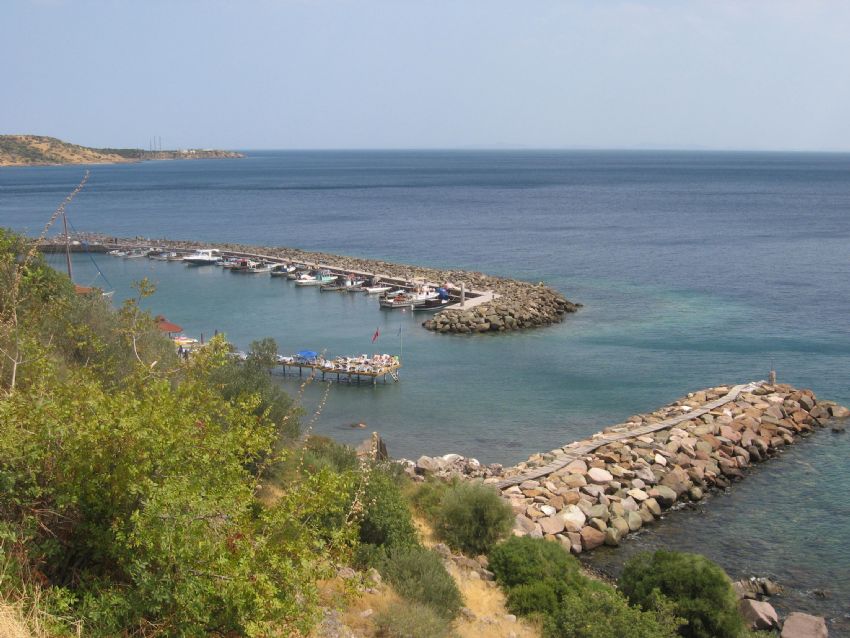 assos_ liman