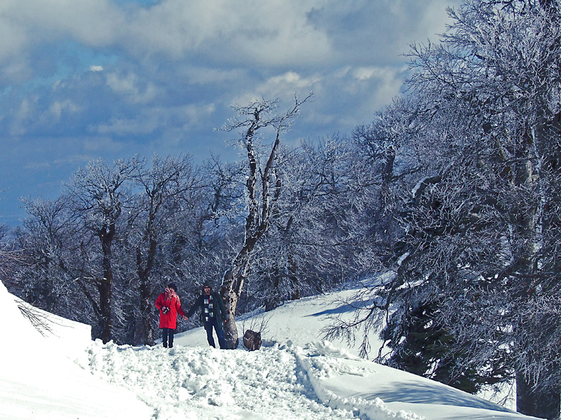 kartepe ak