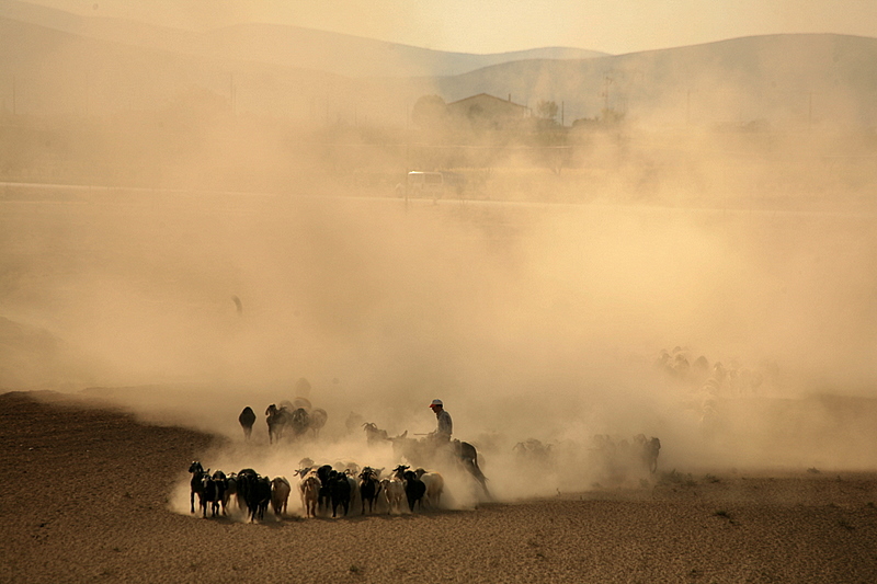 brahim Pekpostalc dostuma....