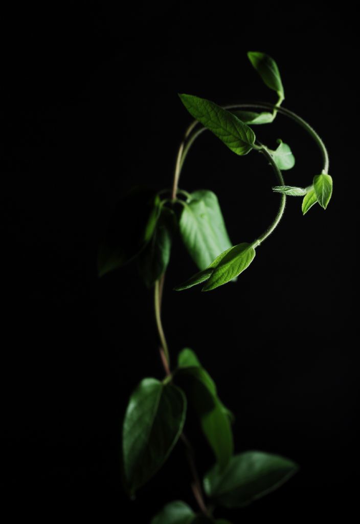 Sessizce Uzaklayorum..