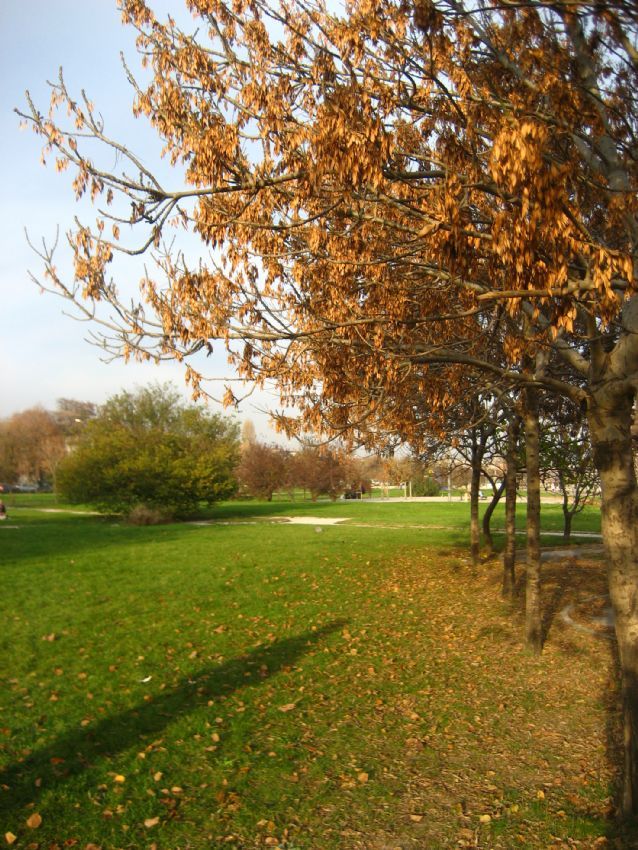 sonbaharda yaln�zl�k