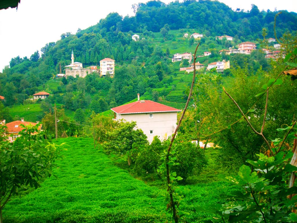 R�ZE-�ay Bah�esi