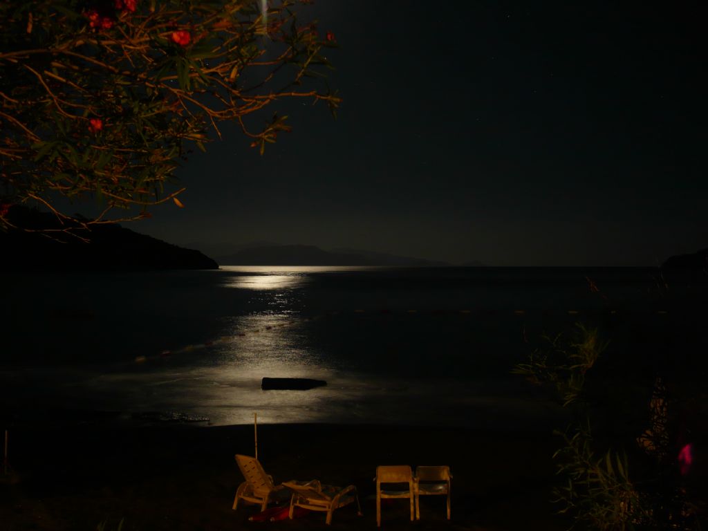 Data da bir yaz gecesi............