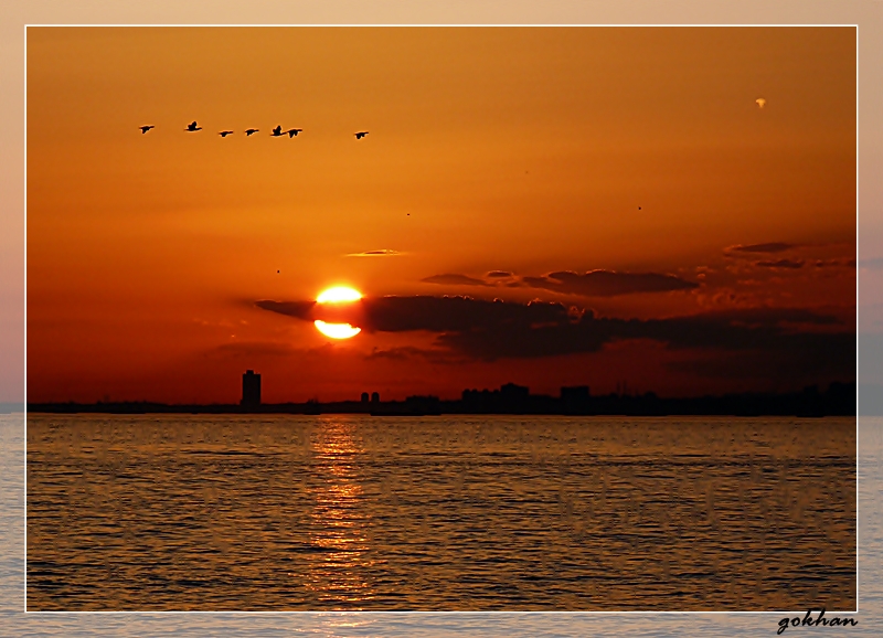 Beni de al�n ku�lar...